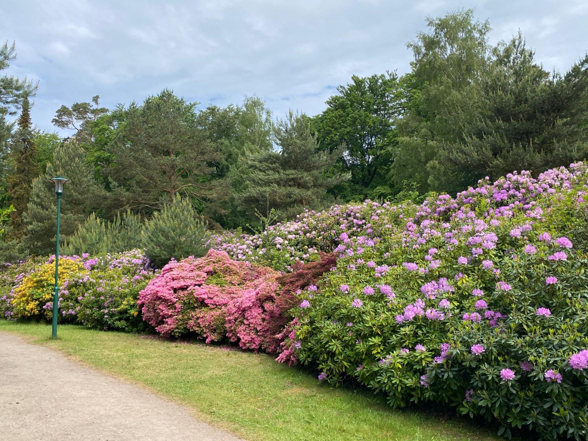 Lieblingszeit im Küstenwald Graal-Müritz Gelbensande Exterior foto